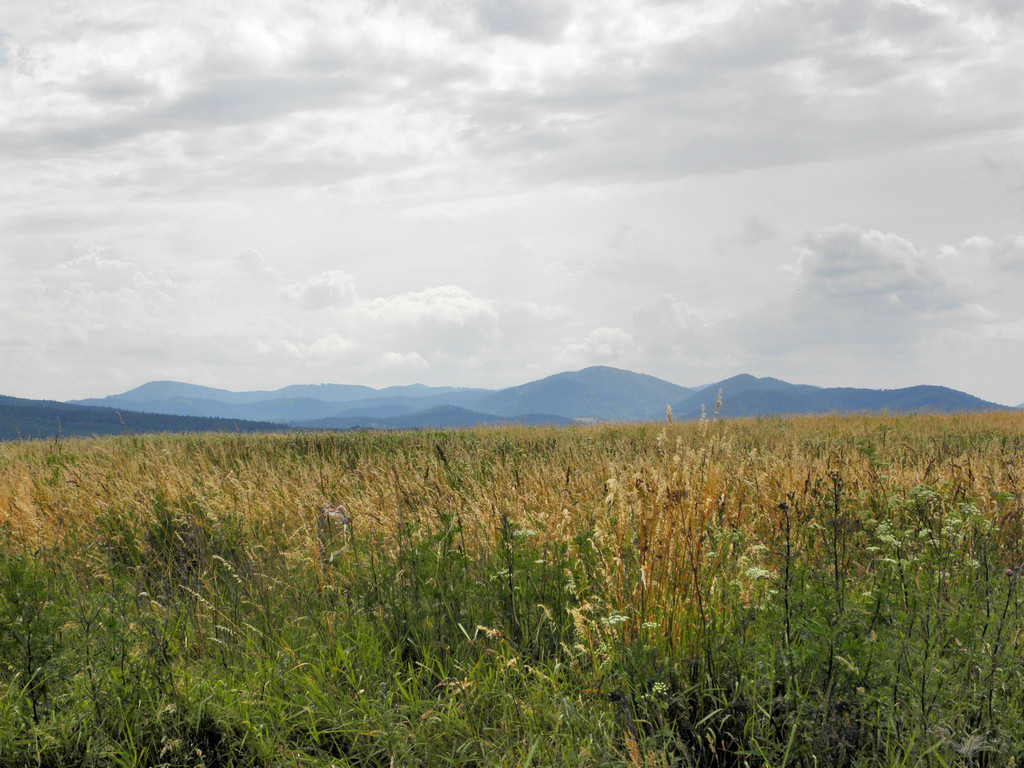 Panorama z łąk nad Modliszowem