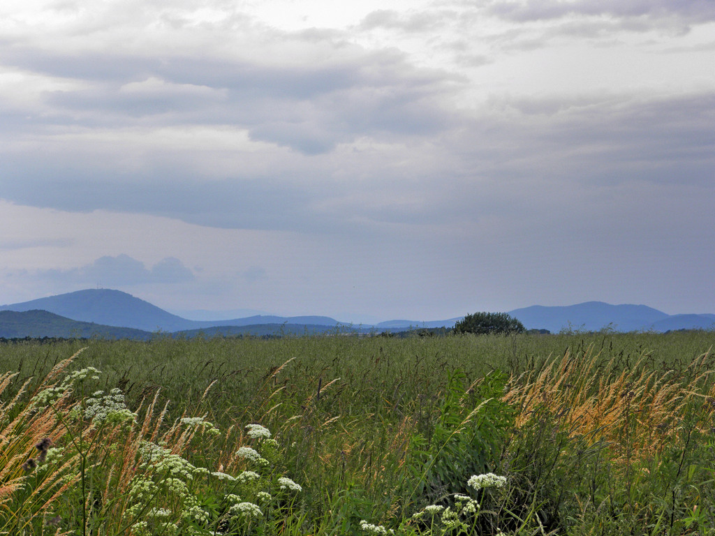 Panorama z łąk nad Modliszowem