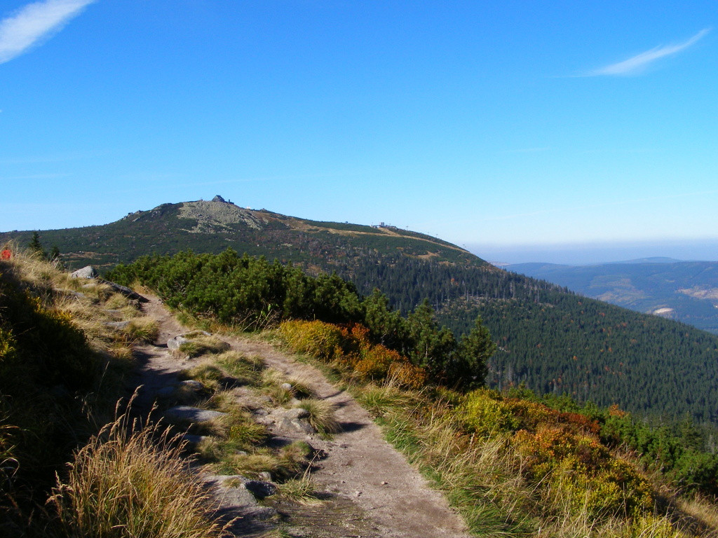 Green trail to Szrenica