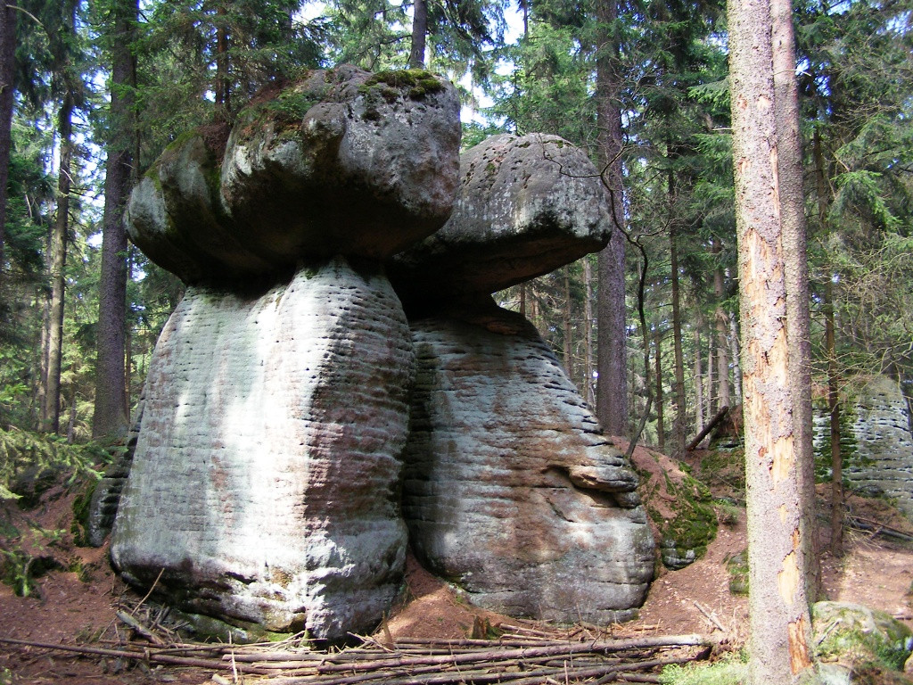 Double mushroom