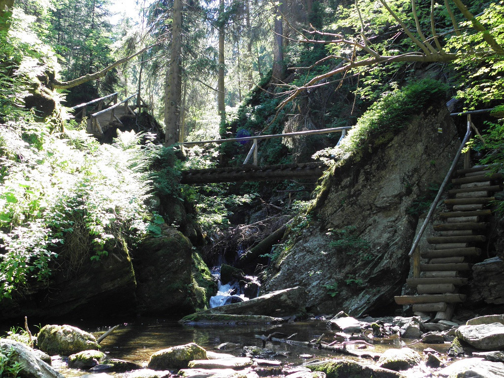 Tourist path along the Bila Opava stream