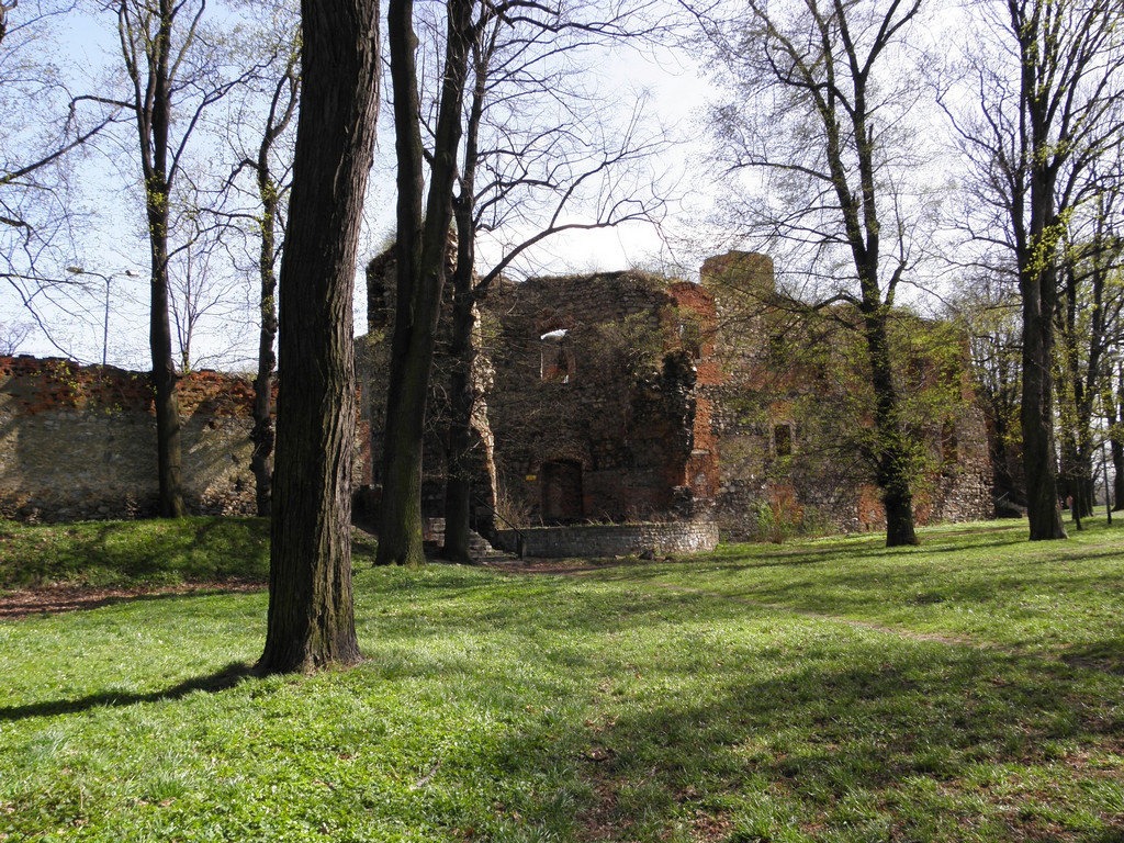 Ząbkowice Śl. - ruins of the castle