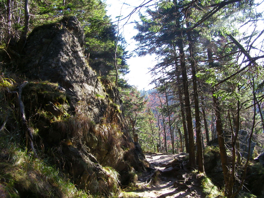 Rocky path traversing slopes of Sredniak